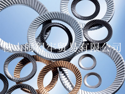 碟形弹簧安全垫圈